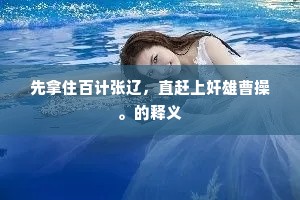 先拿住百计张辽，直赶上奸雄曹操。的释义