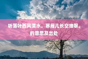 听落叶西风渭水，寒雁儿长空嘹唳。的意思及出处