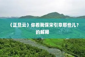 （正旦云）你着我保宋引章那些儿？的解释
