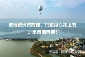 流行坎坷皆前定，只把丹心托上苍。出自哪首诗？