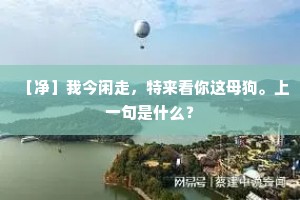 ［净］我今闲走，特来看你这母狗。上一句是什么？
