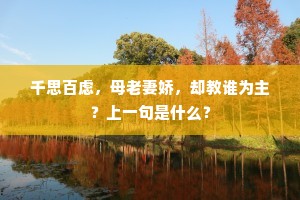 千思百虑，母老妻娇，却教谁为主？上一句是什么？