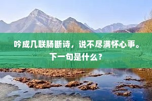 吟成几联肠断诗，说不尽满怀心事。下一句是什么？