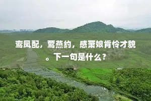 鸾凤配，莺燕约，感萧娘肯怜才貌。下一句是什么？