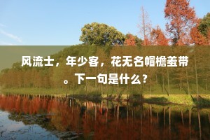 风流士，年少客，花无名帽檐羞带。下一句是什么？