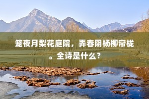 笼夜月梨花庭院，弄春阴杨柳帘栊。全诗是什么？