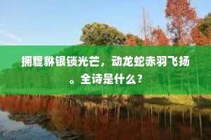 拥貔貅银锁光芒，动龙蛇赤羽飞扬。全诗是什么？