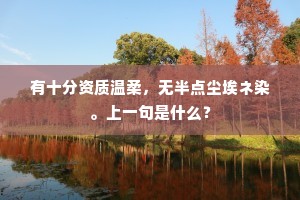 有十分资质温柔，无半点尘埃ネ染。上一句是什么？