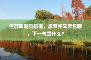 但凝眸渐觉彷徨，忽萦怀又索包藏。下一句是什么？