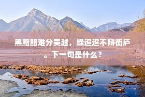 黑黯黯难分吴越，绿迢迢不辩衡庐。下一句是什么？