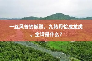 一丝风曾钓鲸鳌，九转丹恰成龙虎。全诗是什么？