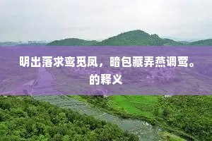 明出落求鸾觅凤，暗包藏弄燕调莺。的释义