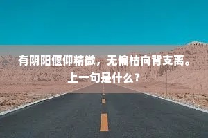 有阴阳偃仰精微，无偏枯向背支离。上一句是什么？