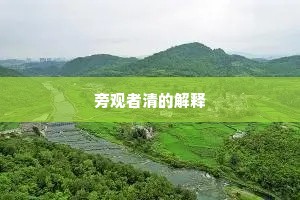 旁观者清的解释