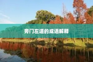 旁门左道的成语解释
