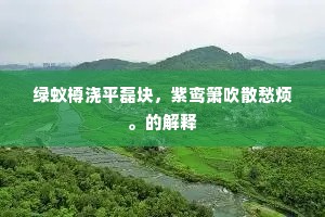 绿蚁樽浇平磊块，紫鸾箫吹散愁烦。的解释