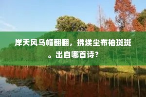 岸天风乌帽翻翻，拂埃尘布袖斑斑。出自哪首诗？