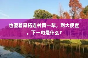 也藏着桑柘连村雨一犁，到大便宜。下一句是什么？