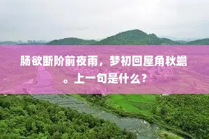 肠欲断阶前夜雨，梦初回屋角秋蟾。上一句是什么？