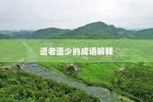 遗老遗少的成语解释