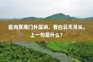 臣向草庵门外瀛洲，看白云天尽头。上一句是什么？