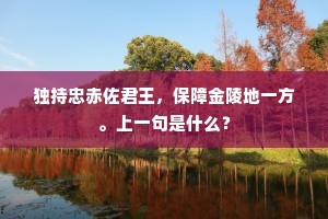 独持忠赤佐君王，保障金陵地一方。上一句是什么？