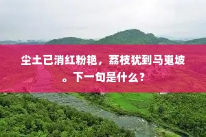 尘土已消红粉艳，荔枝犹到马嵬坡。下一句是什么？