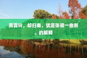 雨霖铃，却归秦，犹是张徽一曲新。的解释
