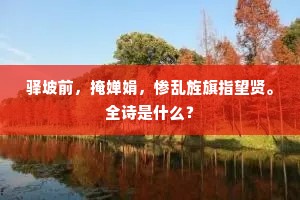 驿坡前，掩婵娟，惨乱旌旗指望贤。全诗是什么？