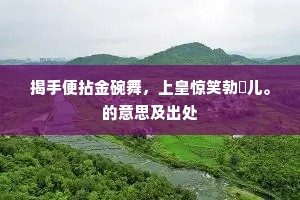 揭手便拈金碗舞，上皇惊笑勃妳儿。的意思及出处