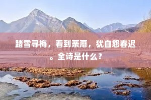 踏雪寻梅，看到荼蘼，犹自怨春迟。全诗是什么？