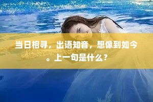 当日相寻，出语知音，想像到如今。上一句是什么？