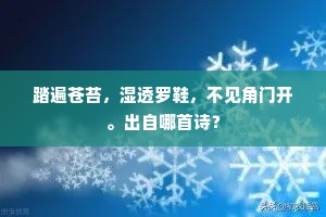 踏遍苍苔，湿透罗鞋，不见角门开。出自哪首诗？