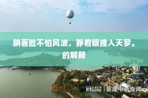 腆著脸不怕风波，睁着眼撞入天罗。的解释