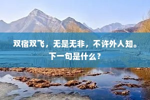 双宿双飞，无是无非，不许外人知。下一句是什么？