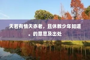 天若有情天亦老，且休教少年知道。的意思及出处