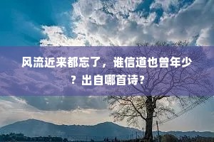 风流近来都忘了，谁信道也曾年少？出自哪首诗？