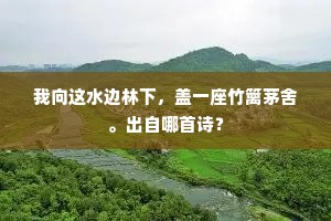 我向这水边林下，盖一座竹篱茅舍。出自哪首诗？
