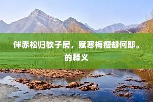 伴赤松归欤子房，赋寒梅瘦却何郎。的释义