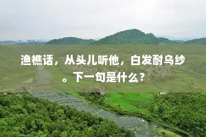 渔樵话，从头儿听他，白发耐乌纱。下一句是什么？