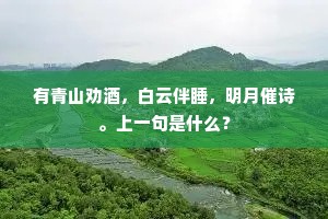 有青山劝酒，白云伴睡，明月催诗。上一句是什么？