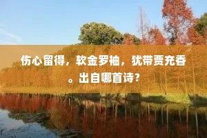 伤心留得，软金罗袖，犹带贾充香。出自哪首诗？