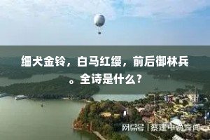 细犬金铃，白马红缨，前后御林兵。全诗是什么？