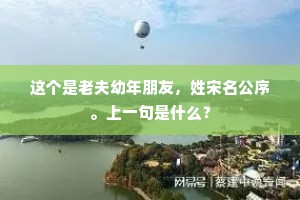 这个是老夫幼年朋友，姓宋名公序。上一句是什么？