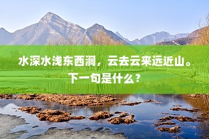 水深水浅东西涧，云去云来远近山。下一句是什么？