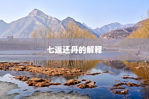 七返还丹的解释