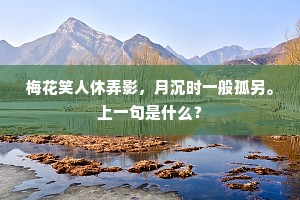梅花笑人休弄影，月沉时一般孤另。上一句是什么？