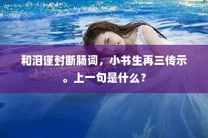 和泪谨封断肠词，小书生再三传示。上一句是什么？