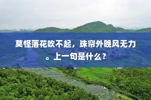 莫怪落花吹不起，珠帘外晚风无力。上一句是什么？