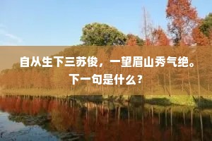 自从生下三苏俊，一望眉山秀气绝。下一句是什么？